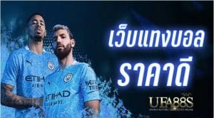 เว็บแทงบอล356